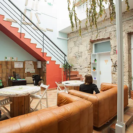 Ecohostel Bettmar 旅馆 大加那利岛拉斯帕尔马斯