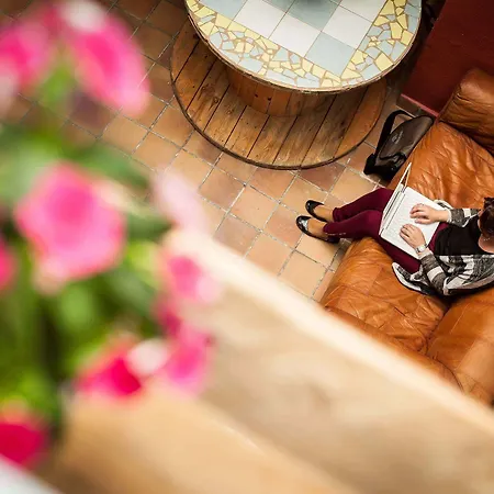 Ecohostel Bettmar Las Palmas / Gran Canaria